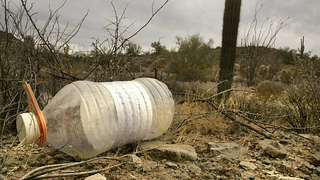 Four Volunteers Convicted for Leaving Food and Water Near Border as Four More Await Trial